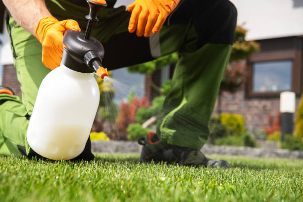 Best Emergency Pest Control  in Woodstock, GA