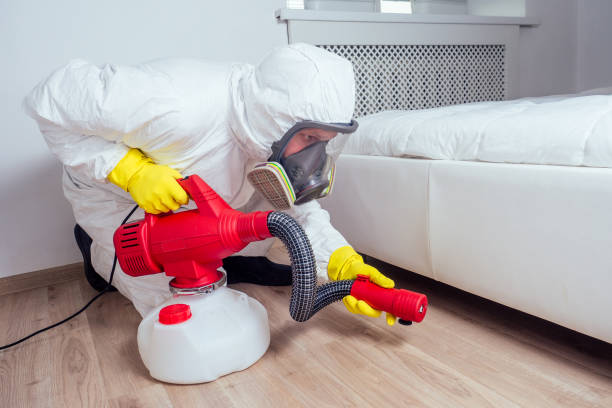 Best Affordable Pest Control Services  in Woodstock, GA