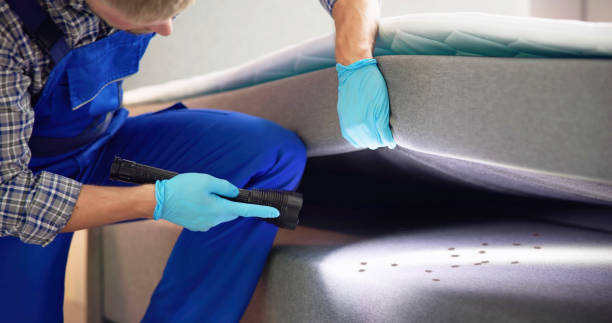 Best Best Pest Control Companies  in Woodstock, GA