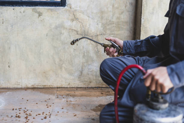 Best Termite Control Services  in Woodstock, GA